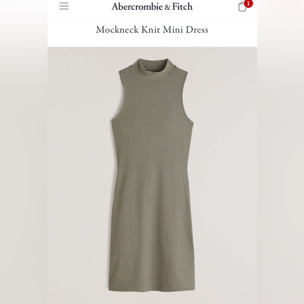 Abercrombie Mock Neck Dress